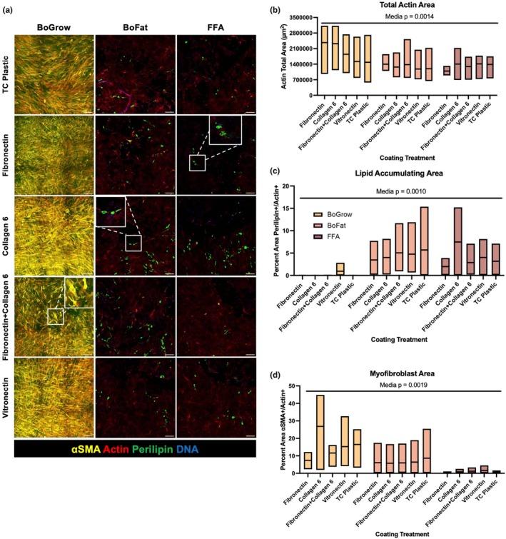 https://cdn.ncbi.nlm.nih.gov/pmc/blobs/6d64/12045701/e491c5b26d0c/PHY2-13-e70283-g003.jpg