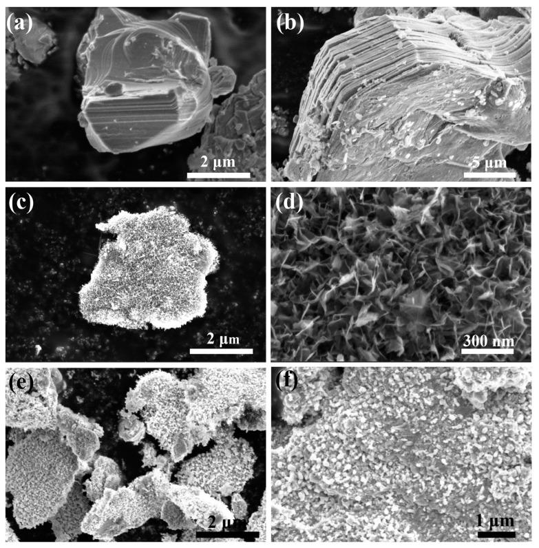 https://cdn.ncbi.nlm.nih.gov/pmc/blobs/6d64/9822367/a52b760bcdbd/molecules-28-00233-g002.jpg