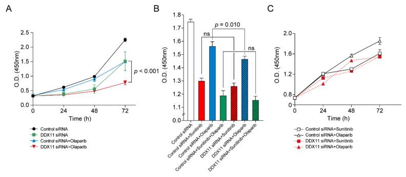 https://cdn.ncbi.nlm.nih.gov/pmc/blobs/6d65/8197413/3a5617346817/cancers-13-02574-g005.jpg