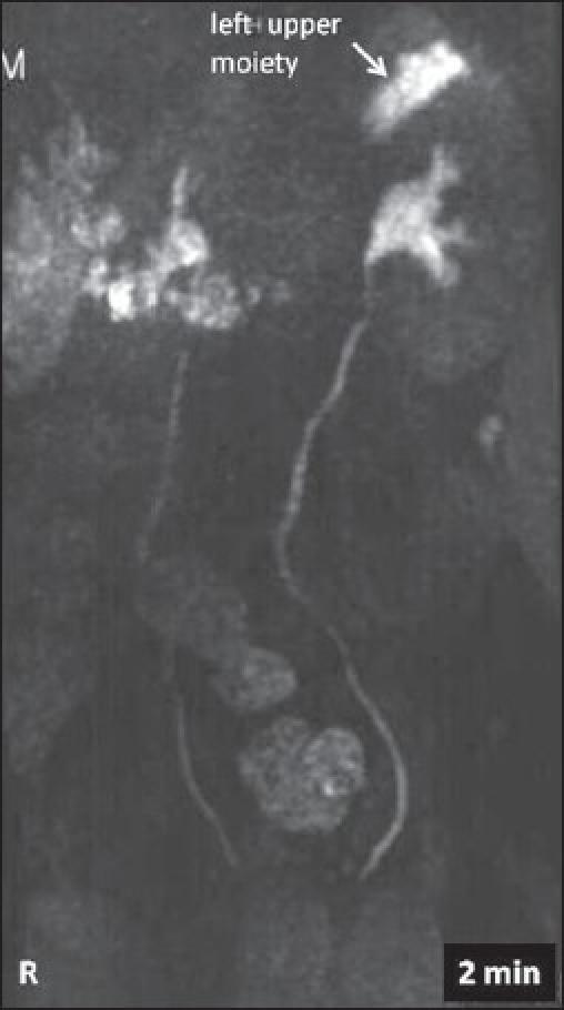 https://cdn.ncbi.nlm.nih.gov/pmc/blobs/6d66/3160054/a337704525ad/JIAPS-16-115-g003.jpg