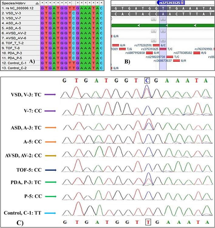 https://cdn.ncbi.nlm.nih.gov/pmc/blobs/6d67/11429617/dd1a405f4273/12872_2024_4035_Fig4_HTML.jpg