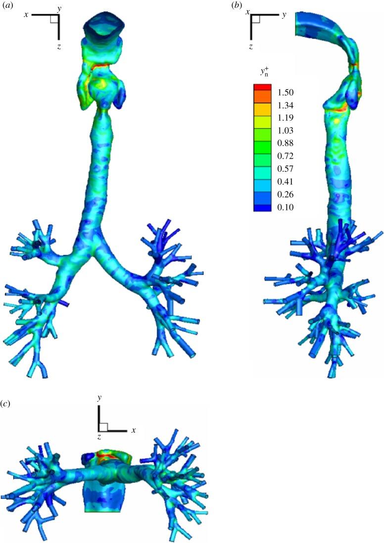 https://cdn.ncbi.nlm.nih.gov/pmc/blobs/6d67/5749997/2bbcda00d96f/rsos170873-g2.jpg