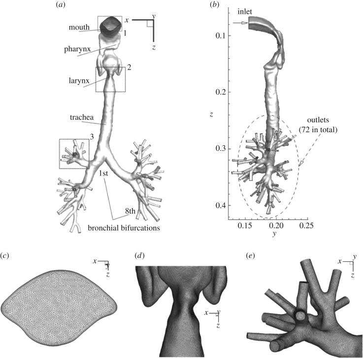 https://cdn.ncbi.nlm.nih.gov/pmc/blobs/6d67/5749997/b28e897c91eb/rsos170873-g1.jpg