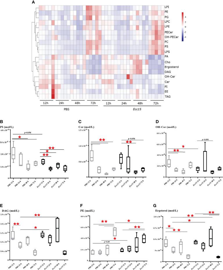 https://cdn.ncbi.nlm.nih.gov/pmc/blobs/6d67/9301368/2d23a2227599/fimmu-13-933137-g001.jpg