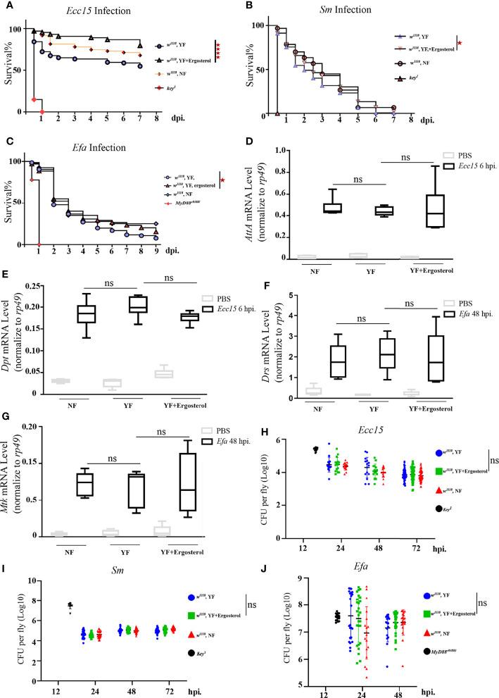 https://cdn.ncbi.nlm.nih.gov/pmc/blobs/6d67/9301368/798d3dc21f76/fimmu-13-933137-g002.jpg