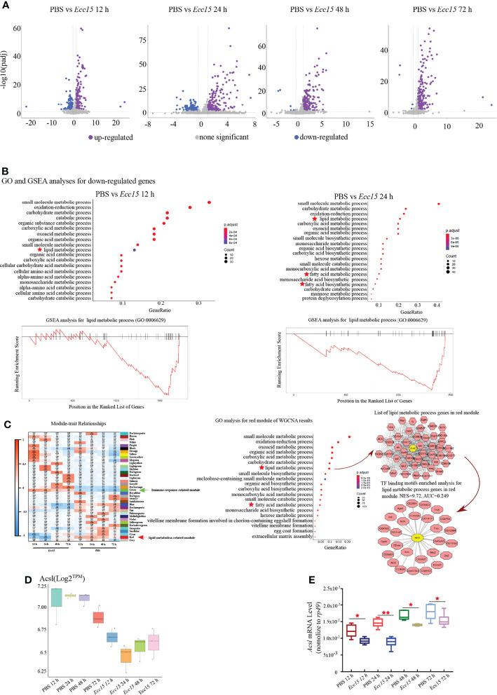 https://cdn.ncbi.nlm.nih.gov/pmc/blobs/6d67/9301368/cc3d51e5ed54/fimmu-13-933137-g003.jpg