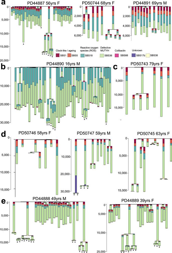 https://cdn.ncbi.nlm.nih.gov/pmc/blobs/6d68/9270427/b7e3848ecc07/41467_2022_31341_Fig3_HTML.jpg