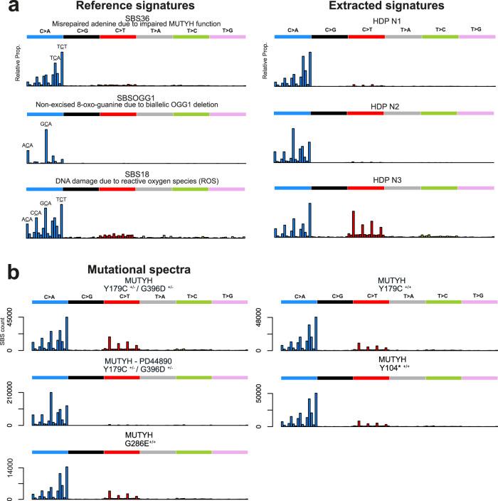 https://cdn.ncbi.nlm.nih.gov/pmc/blobs/6d68/9270427/c358381ad417/41467_2022_31341_Fig2_HTML.jpg