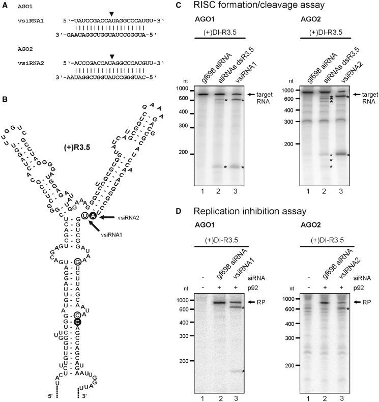 https://cdn.ncbi.nlm.nih.gov/pmc/blobs/6d6a/3643602/e4e7296e6c14/gkt193f7p.jpg