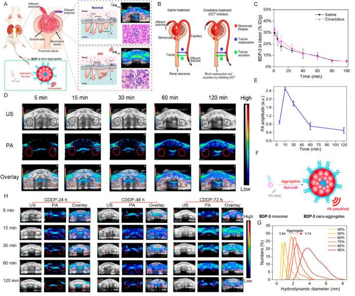 https://cdn.ncbi.nlm.nih.gov/pmc/blobs/6d6b/11503706/6a7781d9ad2b/im4c00024_0002.jpg