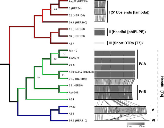 https://cdn.ncbi.nlm.nih.gov/pmc/blobs/6d6b/5539321/3ef424d9c0a4/41598_2017_7401_Fig2_HTML.jpg