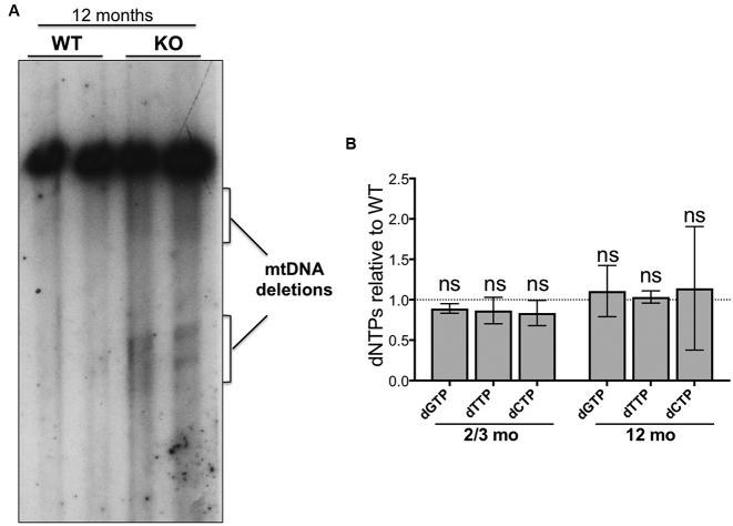 https://cdn.ncbi.nlm.nih.gov/pmc/blobs/6d6c/5728394/8f863f846843/gkx1009fig5.jpg