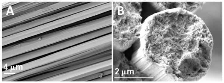 https://cdn.ncbi.nlm.nih.gov/pmc/blobs/6d6d/7435976/4ffa509f3b6e/molecules-25-03362-g005.jpg