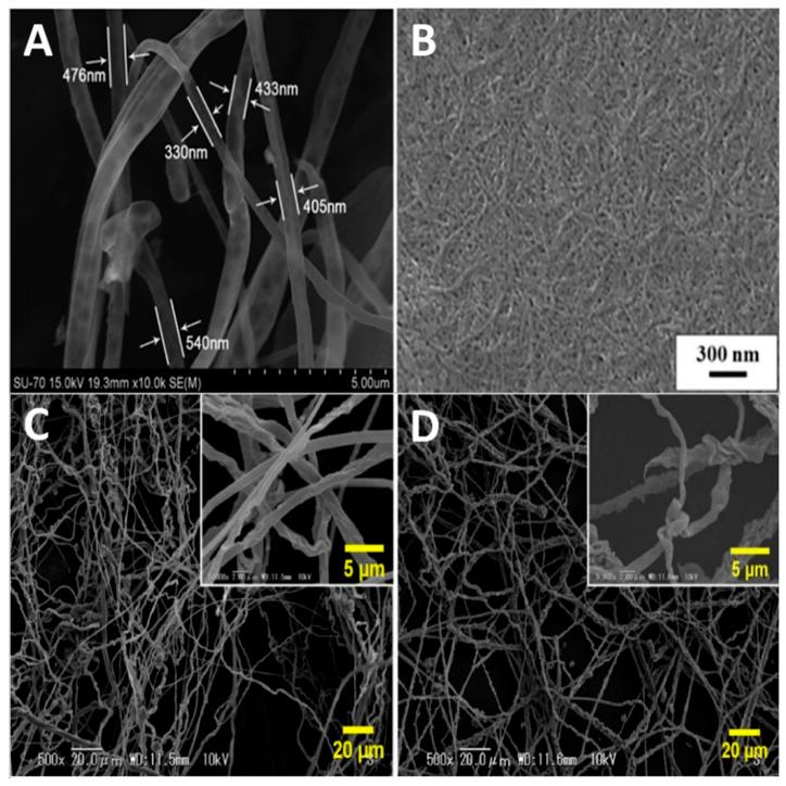 https://cdn.ncbi.nlm.nih.gov/pmc/blobs/6d6d/7435976/d6609b71496f/molecules-25-03362-g004.jpg
