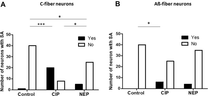 https://cdn.ncbi.nlm.nih.gov/pmc/blobs/6d6d/9572504/20519e0c5aeb/JPR-15-3179-g0003.jpg