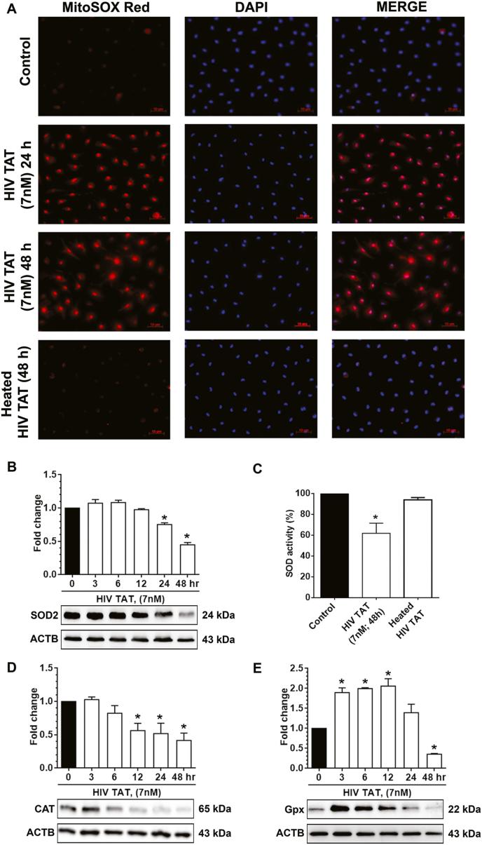 https://cdn.ncbi.nlm.nih.gov/pmc/blobs/6d71/7779826/0ee91afeee44/gr3.jpg