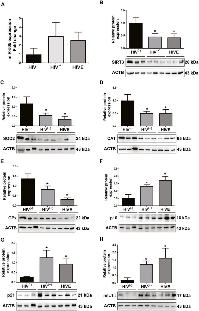 https://cdn.ncbi.nlm.nih.gov/pmc/blobs/6d71/7779826/396e3689a066/gr8.jpg