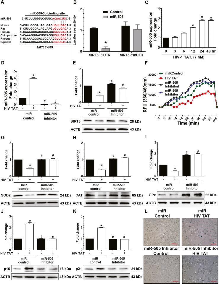 https://cdn.ncbi.nlm.nih.gov/pmc/blobs/6d71/7779826/9d10814506d5/gr7.jpg