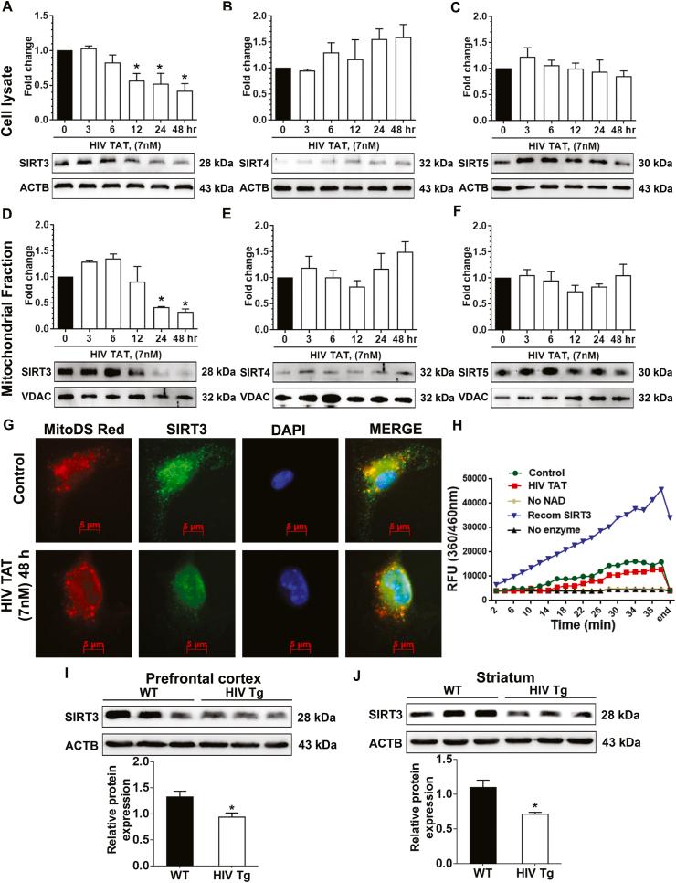 https://cdn.ncbi.nlm.nih.gov/pmc/blobs/6d71/7779826/cb4c5d96aa5f/gr5.jpg