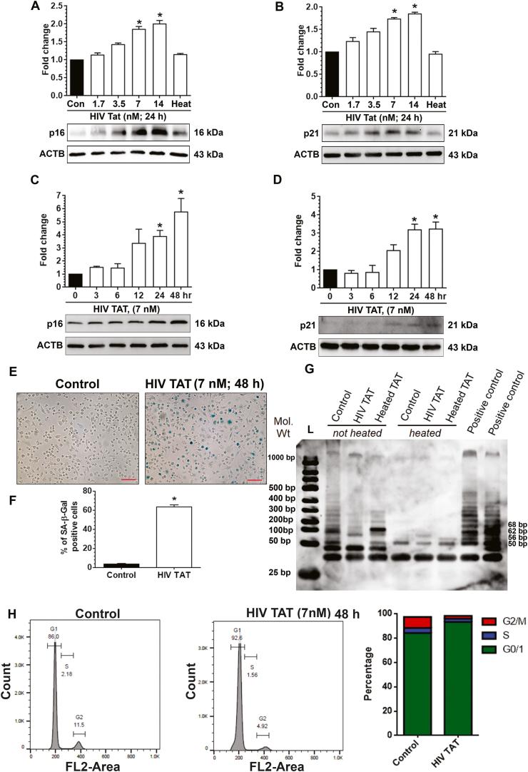 https://cdn.ncbi.nlm.nih.gov/pmc/blobs/6d71/7779826/d9cff5ebf3c4/gr1.jpg