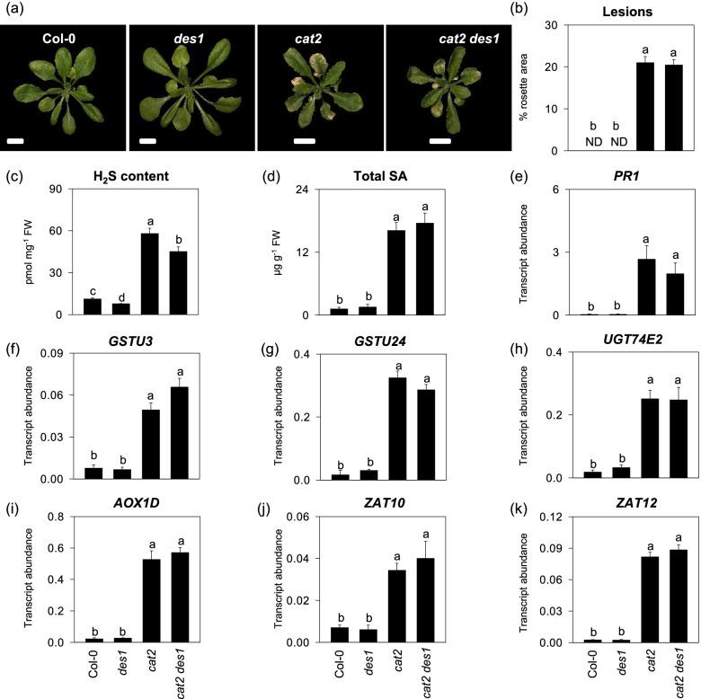 https://cdn.ncbi.nlm.nih.gov/pmc/blobs/6d71/8897949/cf66af7bf621/12870_2022_3490_Fig2_HTML.jpg