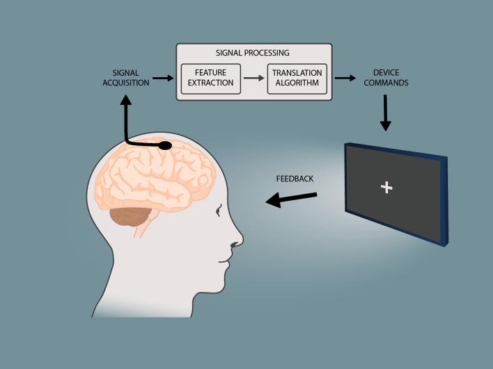 https://cdn.ncbi.nlm.nih.gov/pmc/blobs/6d75/9971103/8a290fa1008a/415_2022_11464_Fig1_HTML.jpg