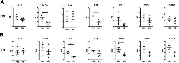 https://cdn.ncbi.nlm.nih.gov/pmc/blobs/6d76/11676593/c18cfcb272f1/cornea-44-226-g002.jpg