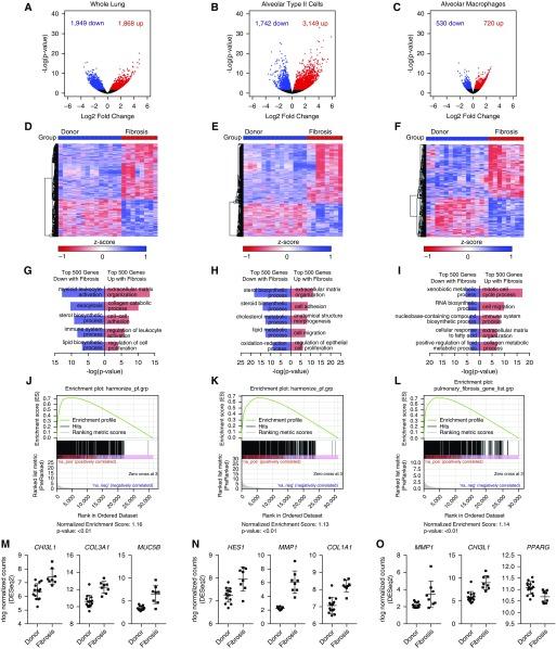 https://cdn.ncbi.nlm.nih.gov/pmc/blobs/6d79/6580683/386b6c89dbf7/rccm.201712-2410OC_f3.jpg