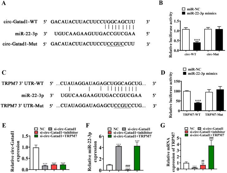 https://cdn.ncbi.nlm.nih.gov/pmc/blobs/6d7d/10916237/14200f39790e/12882_2024_3513_Fig3_HTML.jpg