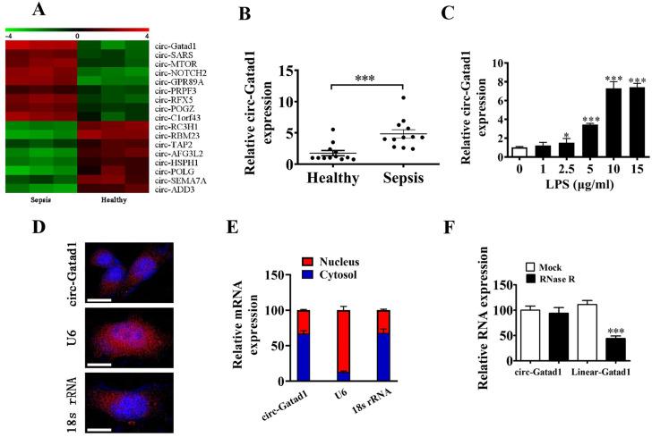 https://cdn.ncbi.nlm.nih.gov/pmc/blobs/6d7d/10916237/319af4e503ca/12882_2024_3513_Fig1_HTML.jpg