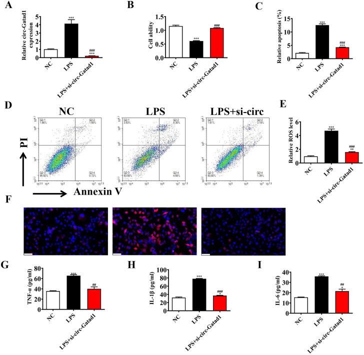 https://cdn.ncbi.nlm.nih.gov/pmc/blobs/6d7d/10916237/bfa61eff9746/12882_2024_3513_Fig2_HTML.jpg
