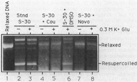 https://cdn.ncbi.nlm.nih.gov/pmc/blobs/6d7e/207083/575a340d135d/jbacter00092-0477-a.jpg
