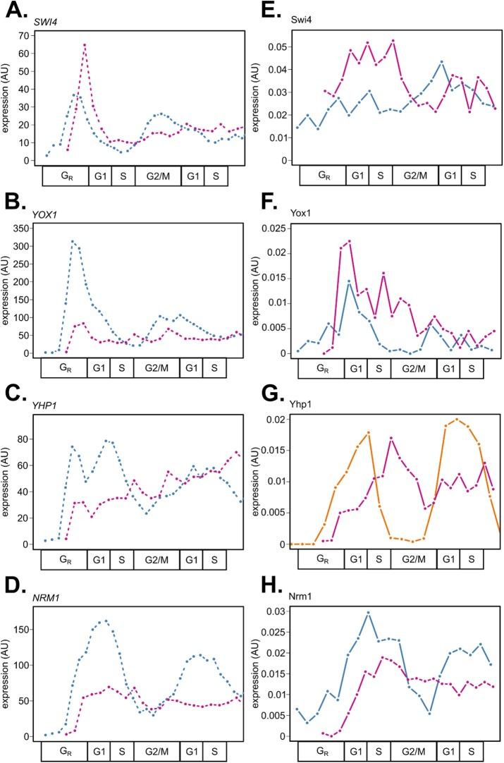https://cdn.ncbi.nlm.nih.gov/pmc/blobs/6d7e/6249835/8decfea21d2e/mbc-29-2644-g005.jpg