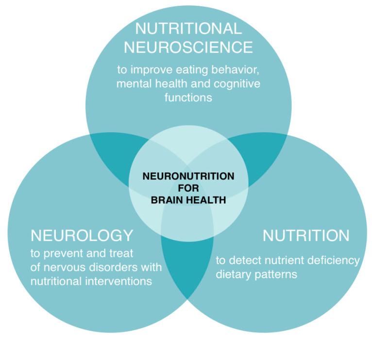 https://cdn.ncbi.nlm.nih.gov/pmc/blobs/6d7f/10255487/6b755e508faa/nutrients-15-02505-g001.jpg