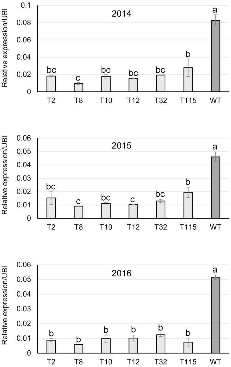https://cdn.ncbi.nlm.nih.gov/pmc/blobs/6d80/7317012/83f4e82f30cd/fpls-11-00843-g005.jpg