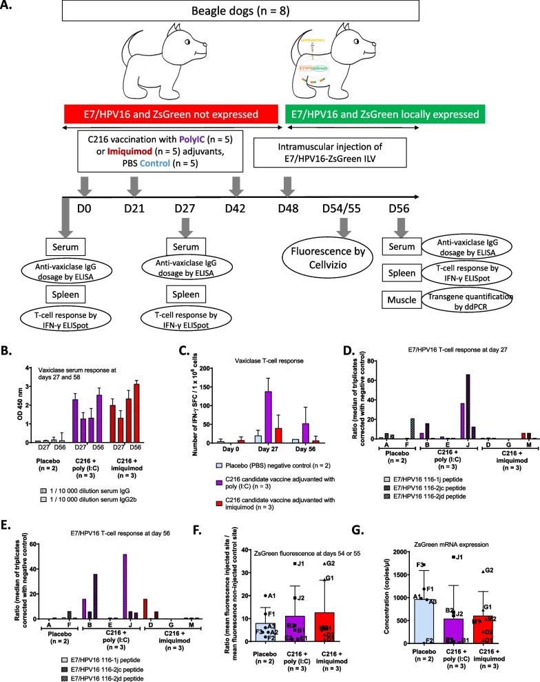 https://cdn.ncbi.nlm.nih.gov/pmc/blobs/6d81/10258993/46acfedb2ec7/42826_2023_166_Fig4_HTML.jpg