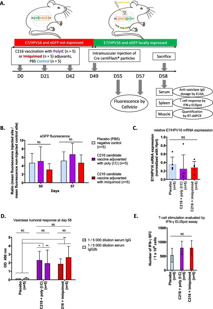 https://cdn.ncbi.nlm.nih.gov/pmc/blobs/6d81/10258993/ce2b53685ab2/42826_2023_166_Fig2_HTML.jpg