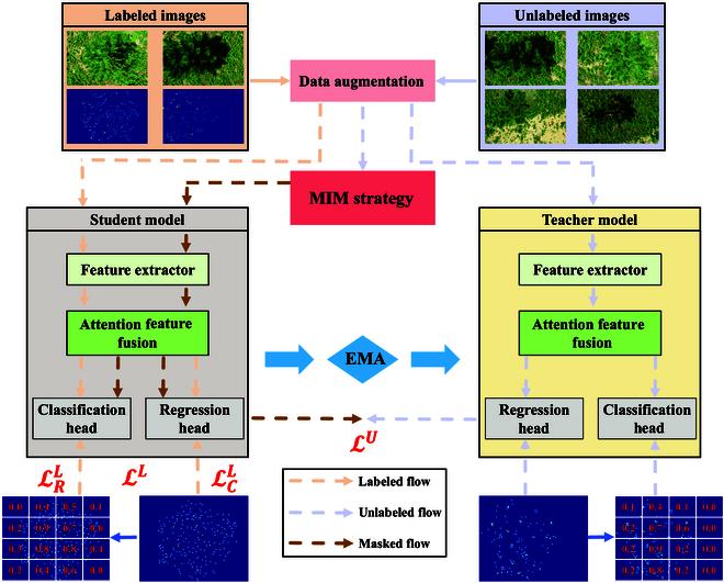 https://cdn.ncbi.nlm.nih.gov/pmc/blobs/6d81/11350603/32f26b9944fd/plantphenomics.0228.fig.002.jpg