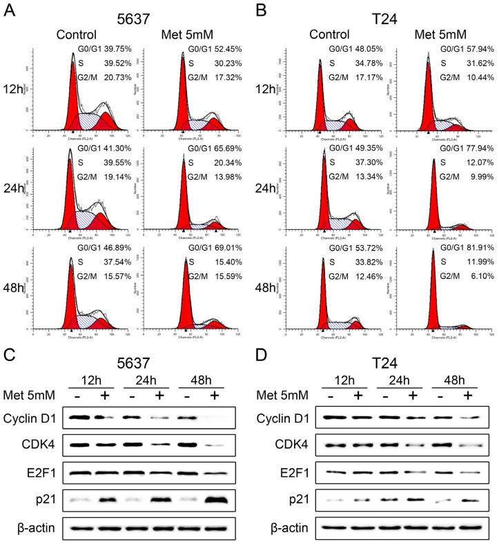 https://cdn.ncbi.nlm.nih.gov/pmc/blobs/6d81/3876131/cef964acf385/ijms-14-24603f3.jpg