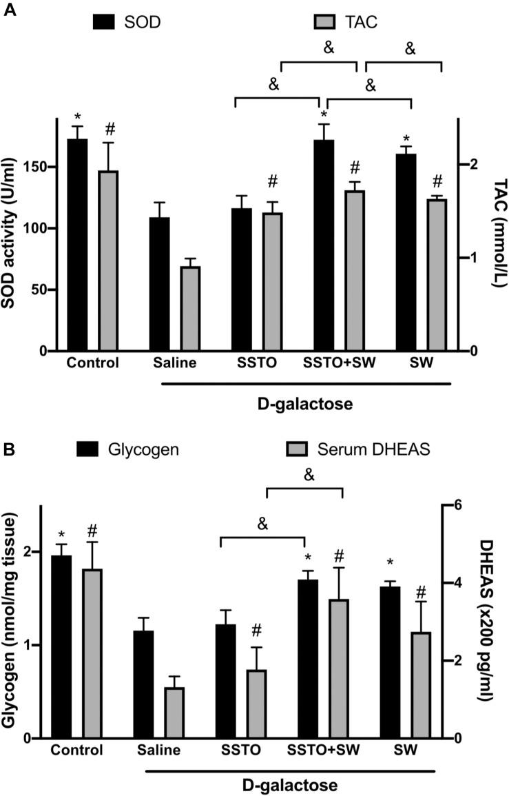 https://cdn.ncbi.nlm.nih.gov/pmc/blobs/6d81/8194302/9e78ffa255d2/fphys-12-660552-g004.jpg