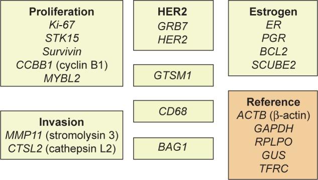 https://cdn.ncbi.nlm.nih.gov/pmc/blobs/6d89/5827461/3924413af38e/ijwh-10-089Fig1.jpg