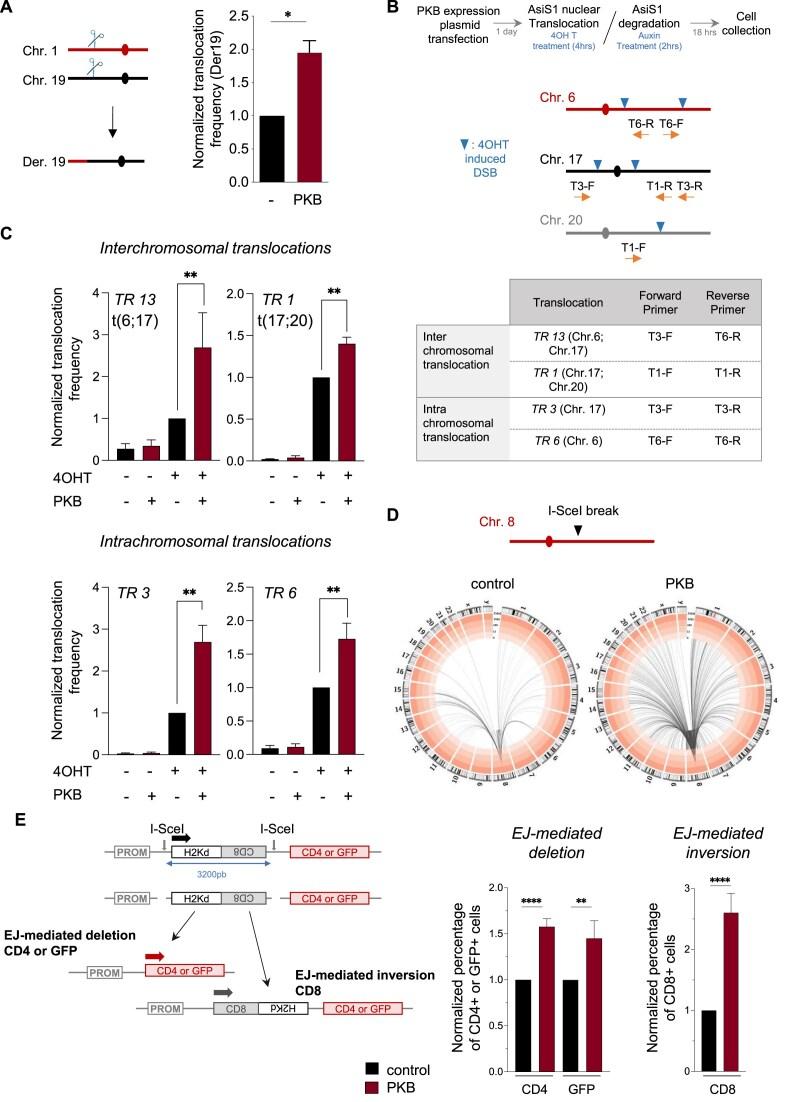 https://cdn.ncbi.nlm.nih.gov/pmc/blobs/6d8a/12143594/efc19b723be4/gkaf468fig2.jpg