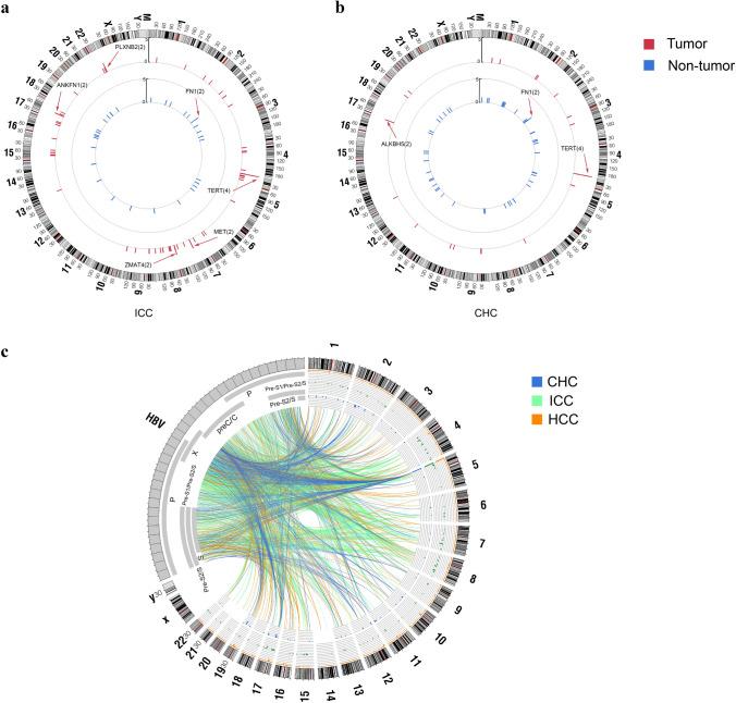 https://cdn.ncbi.nlm.nih.gov/pmc/blobs/6d8b/9701178/2b2f0fd7203f/12072_2022_10419_Fig2_HTML.jpg