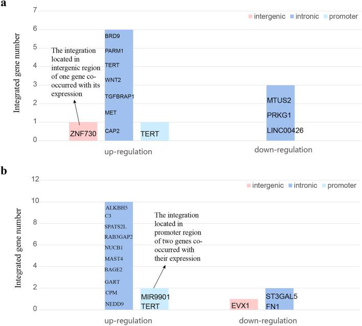 https://cdn.ncbi.nlm.nih.gov/pmc/blobs/6d8b/9701178/6e06e0aa7530/12072_2022_10419_Fig6_HTML.jpg