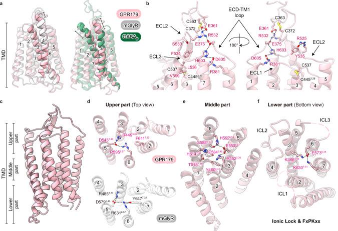 https://cdn.ncbi.nlm.nih.gov/pmc/blobs/6d8c/11437087/3dd3b1023206/41467_2024_52584_Fig3_HTML.jpg