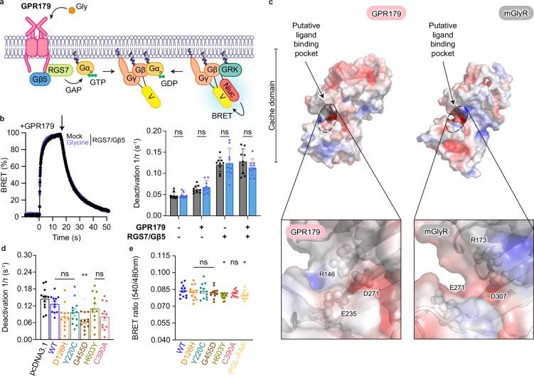 https://cdn.ncbi.nlm.nih.gov/pmc/blobs/6d8c/11437087/675e7e9be1b3/41467_2024_52584_Fig6_HTML.jpg