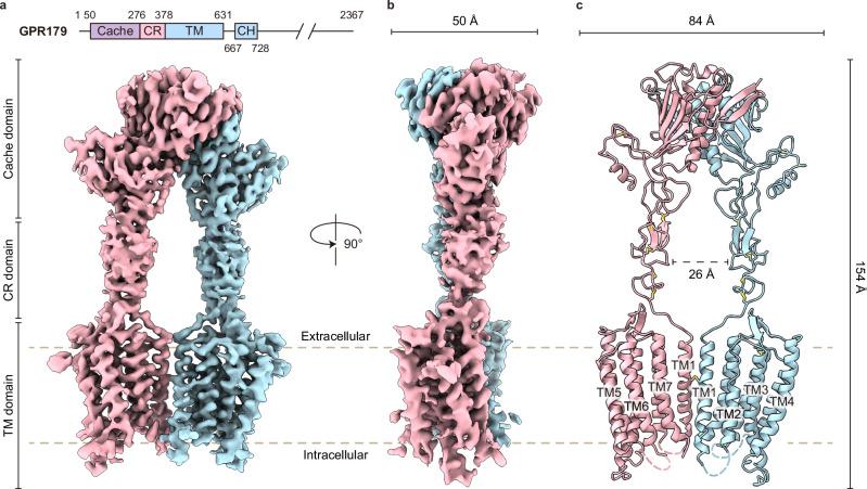 https://cdn.ncbi.nlm.nih.gov/pmc/blobs/6d8c/11437087/d0c901a53b34/41467_2024_52584_Fig1_HTML.jpg