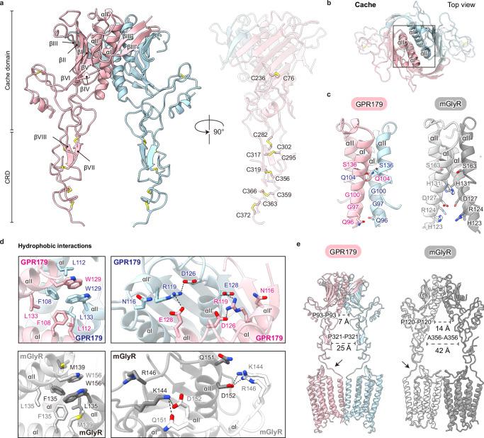 https://cdn.ncbi.nlm.nih.gov/pmc/blobs/6d8c/11437087/dc2df297fc69/41467_2024_52584_Fig4_HTML.jpg