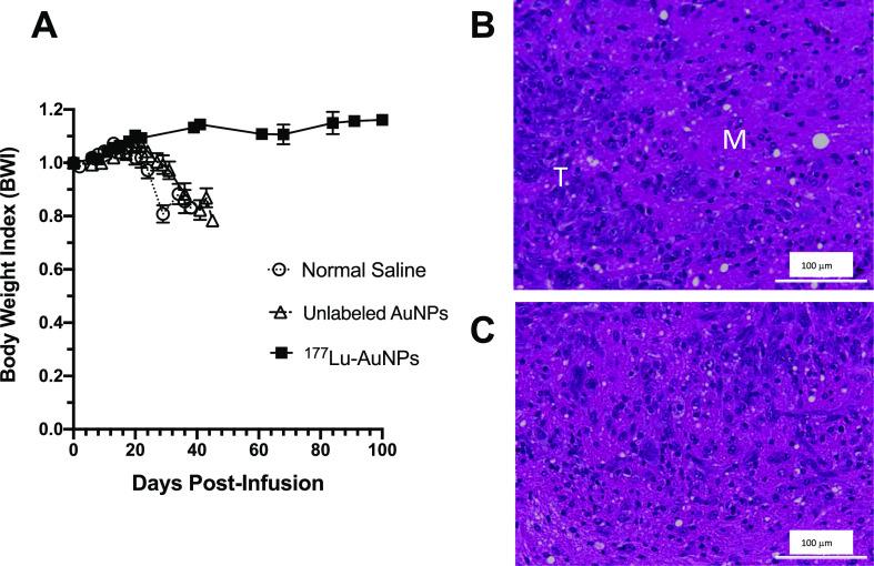 https://cdn.ncbi.nlm.nih.gov/pmc/blobs/6d8c/9812026/bcf4ad10d514/mp2c00815_0007.jpg