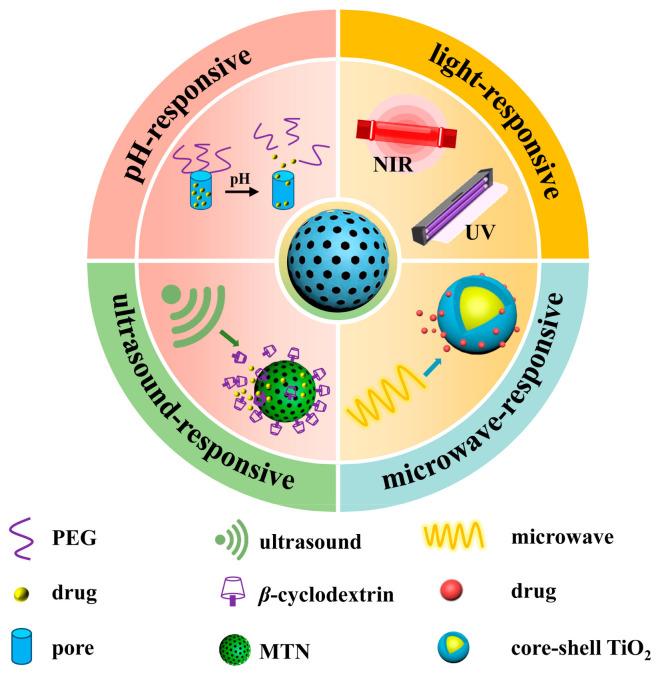 https://cdn.ncbi.nlm.nih.gov/pmc/blobs/6d8d/11434736/7055ff918606/pharmaceutics-16-01214-g004.jpg
